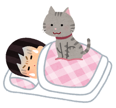 pet_cat_omoi_sleep_woman-2.png