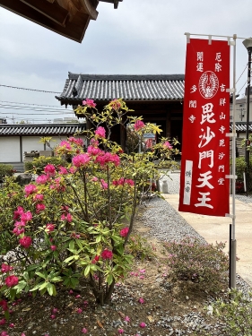 多聞寺の石楠花