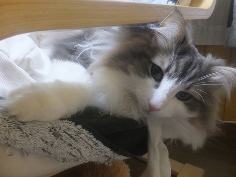 230321_28.jpg