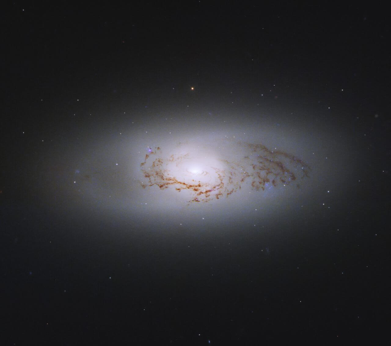 しし座のレンズ状銀河「NGC 3489」