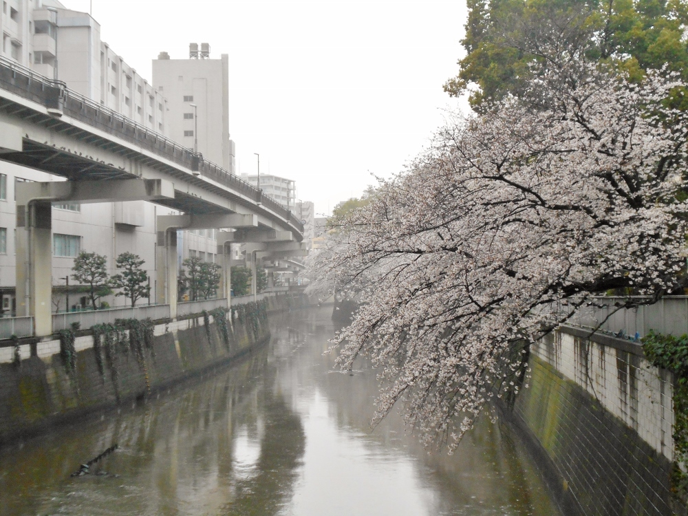 江戸川橋から見た風景