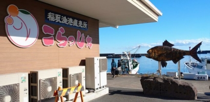 20221225-4-稲取港魚直売所こらっしぇ.JPG