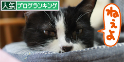 banner.jpg